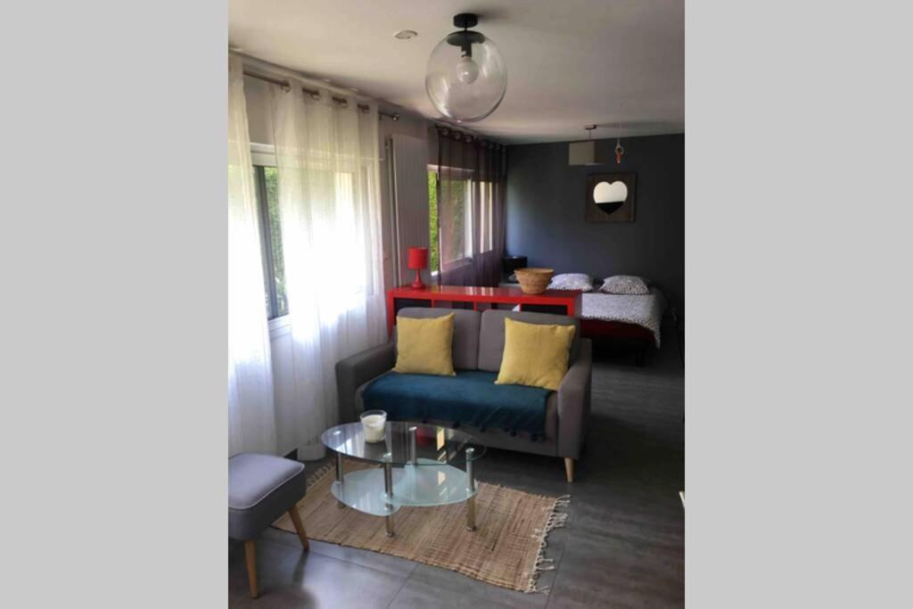Bel Appartement En Rez De Jardin, 10Min Centre Et 300M Quais De Seine Wifi Руан Экстерьер фото